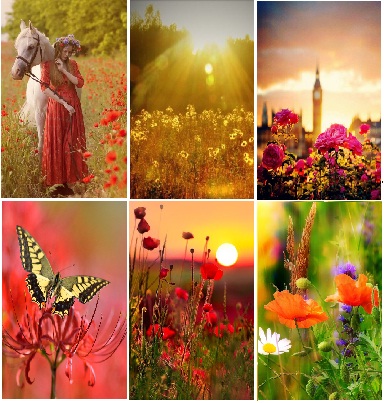 Земля родная