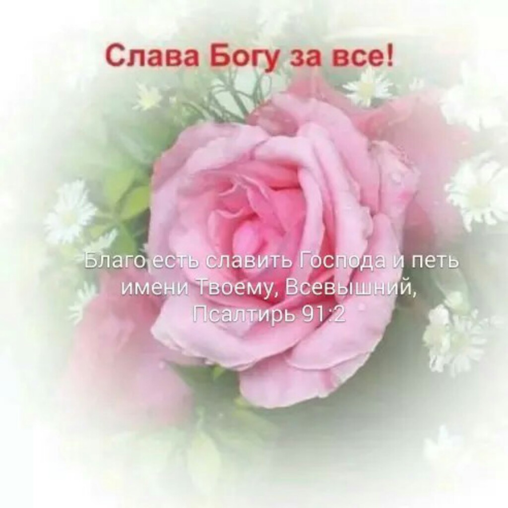 За кого почитаете Меня?