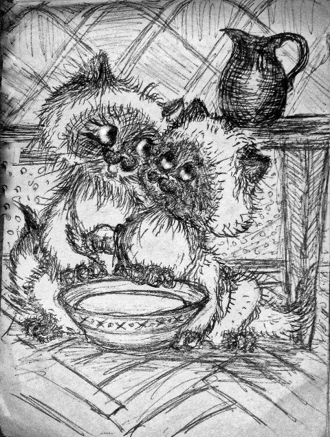 Мы делили молоко