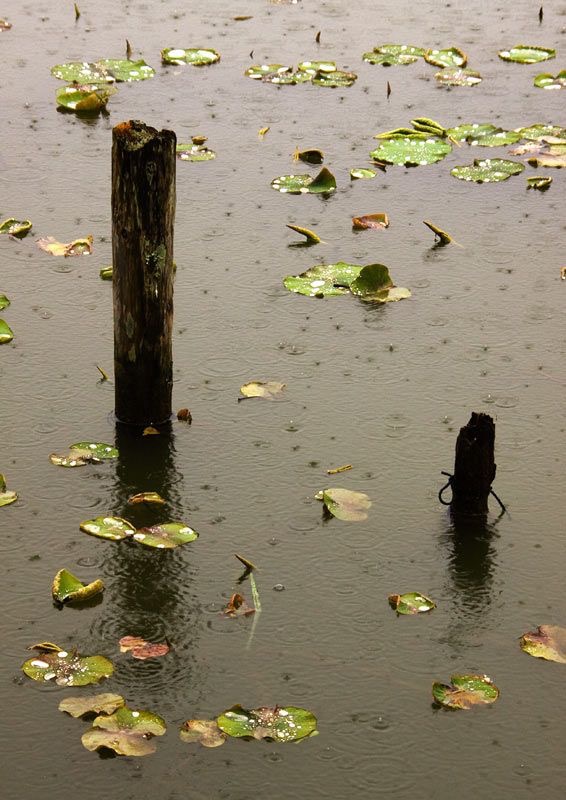 My Future is Limited