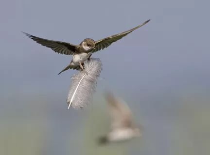 И когда ты неправильно дышишь