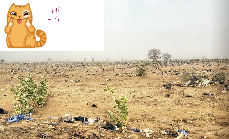 Котёнок машет лапкой