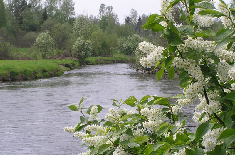 Стареет население Гремячи