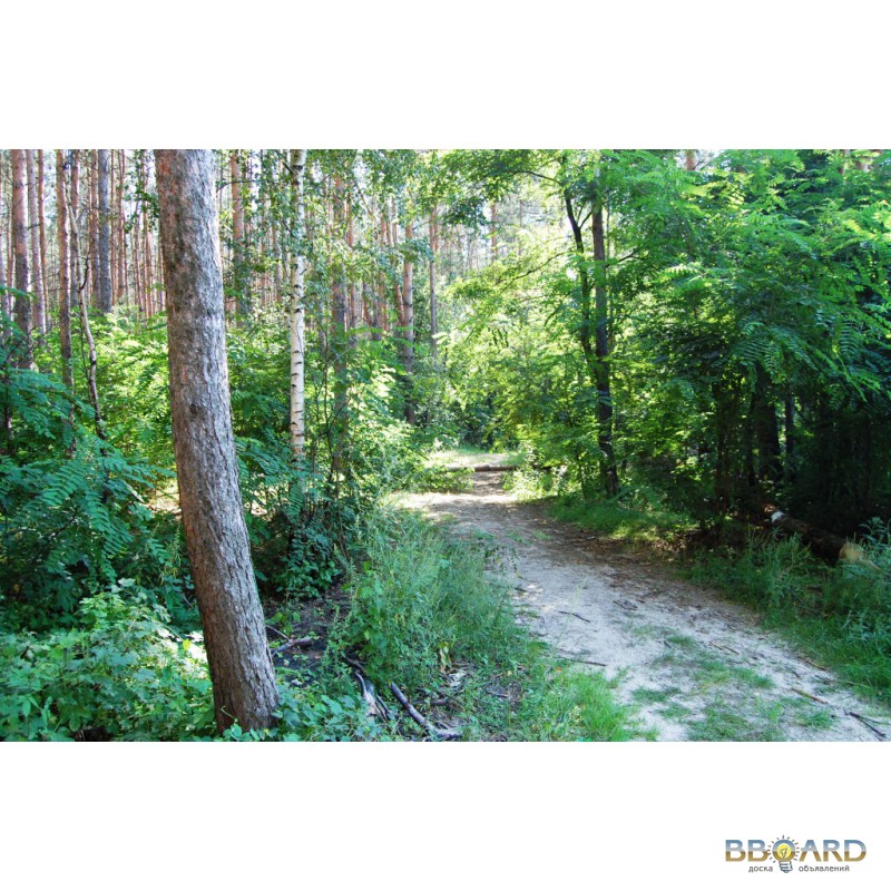 Ещё о Весне