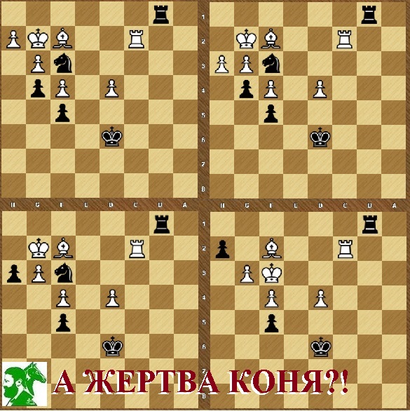 А пожертвовать коня?