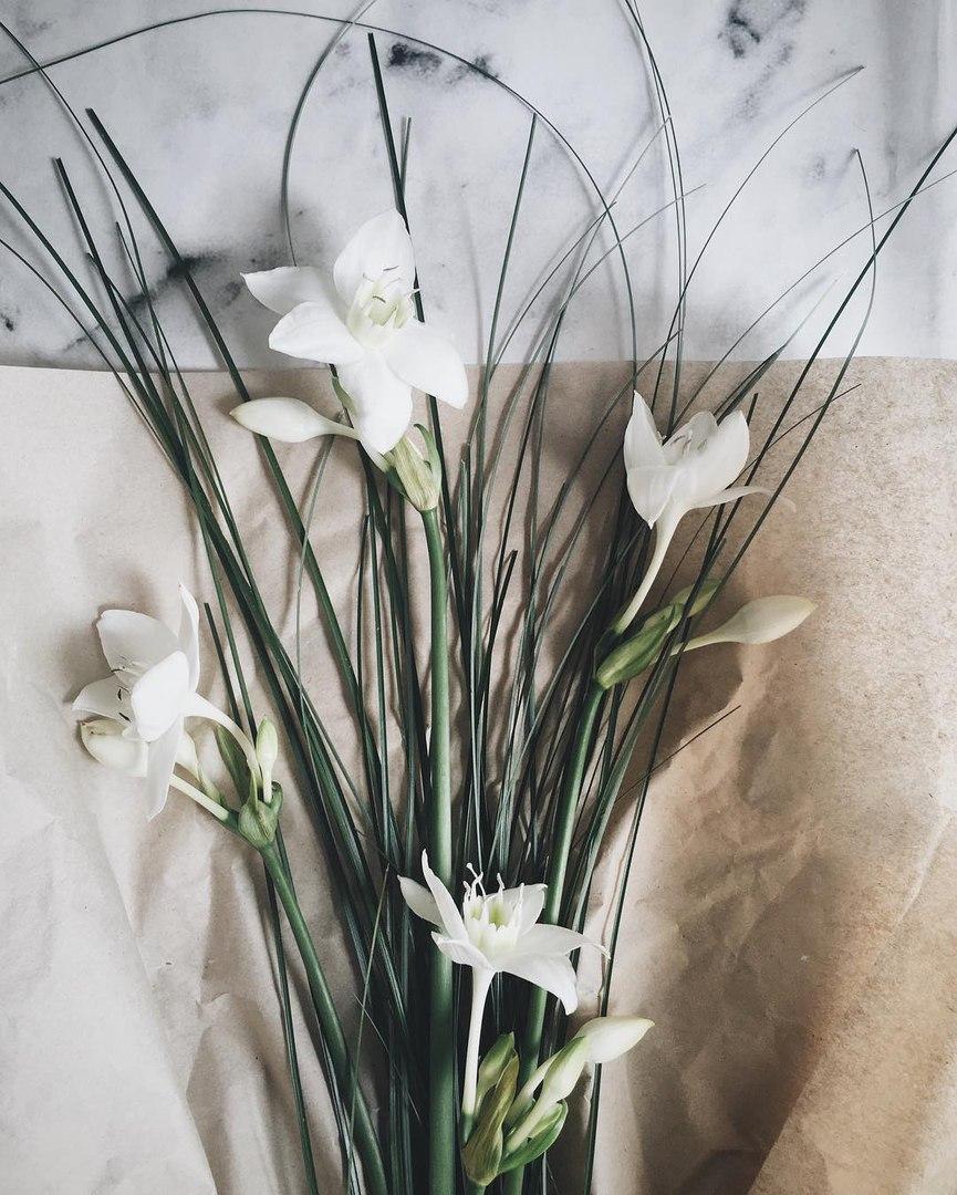 Ах, какая опять весна!