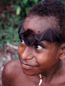 Кедр и пальма