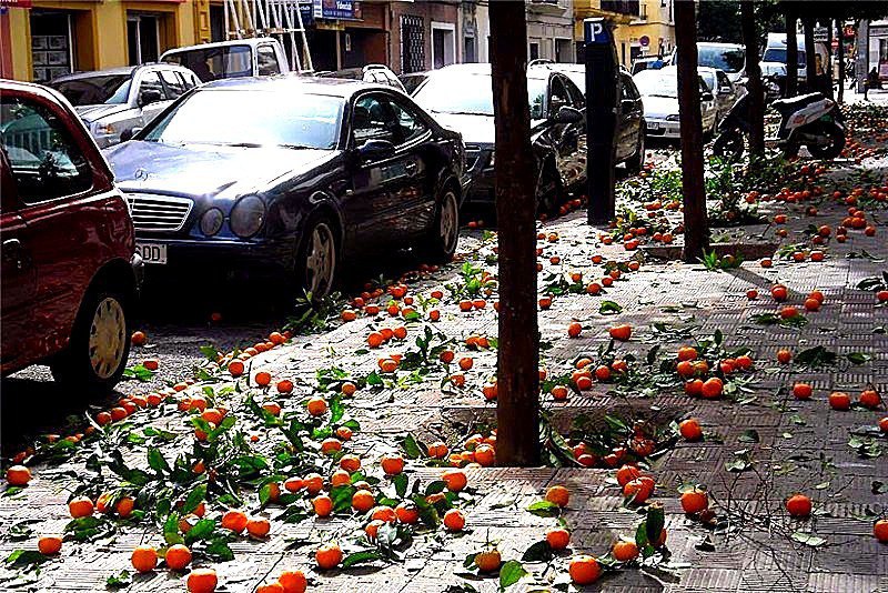 Разрывы канонады...