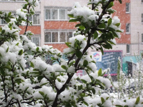 Снег 11 мая 2017 г. Трилогия