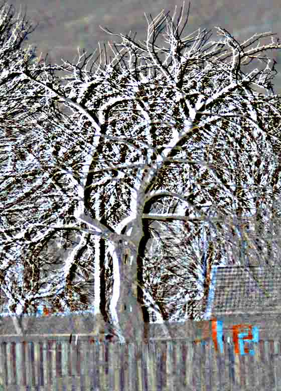 Пад 11 Вольф гол не забЕ?