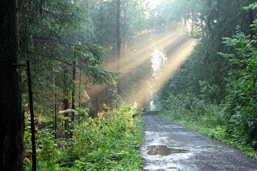 Зеленоглазая...