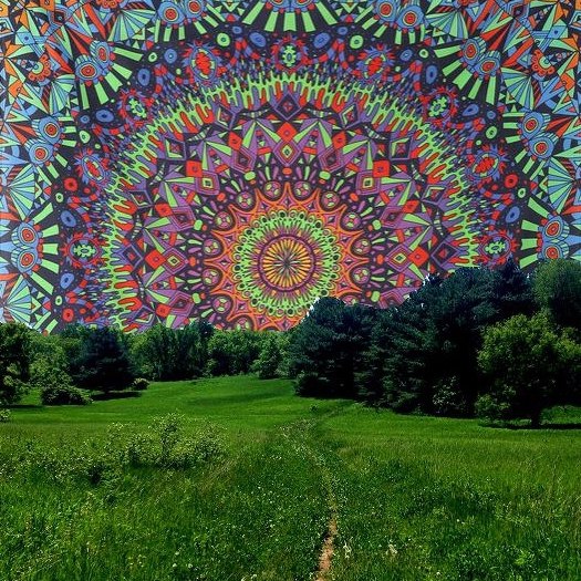 Прекрасен твой мир