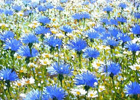 Полевые цветы