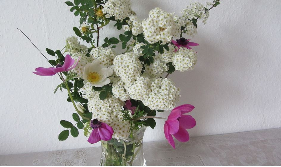 Моей Людмиле