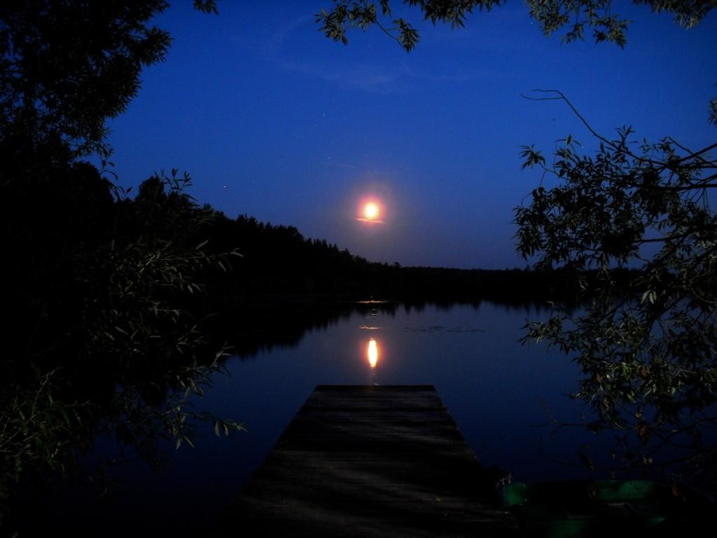 Какие бывают ночи летом. Летняя ночь. Ночной берег озера. Ночное озеро. Река ночью.