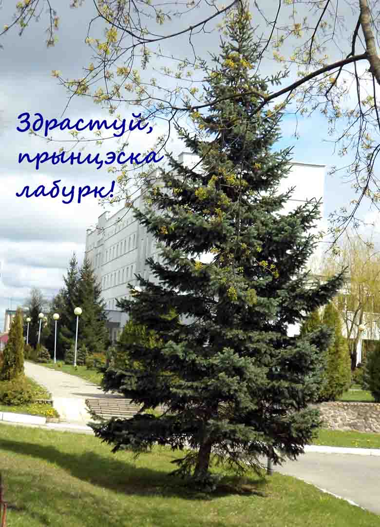 Хакеры бомбы взорвалы вж