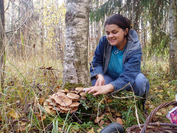 Негодно-непогодное