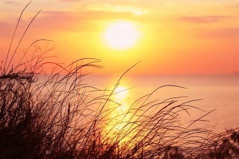 За полсекунды до звонка