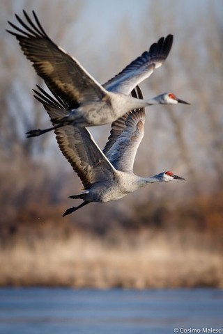 Пошире окна отвори