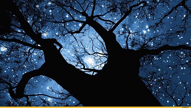 Звезда и ветер