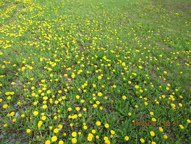 Закрою глаза - снег лежит...