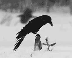 Кто, Придя Под Утро...