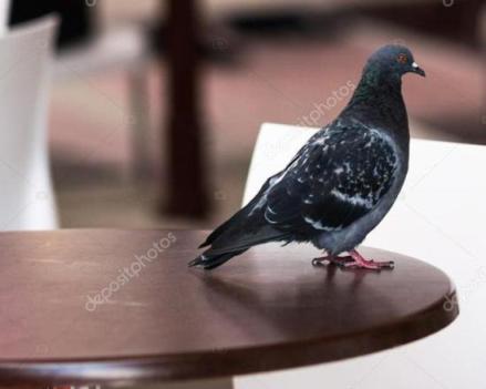 Обидно уличная зарисовка