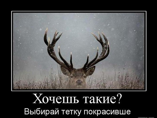 Наставить рога