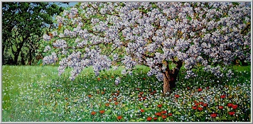 Старая яблоня