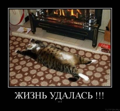Жизнь - то удалась!
