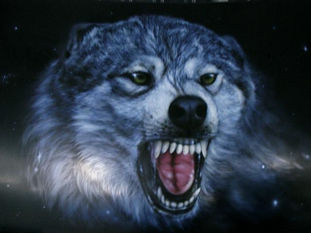 Жаль, что зубы сточил...