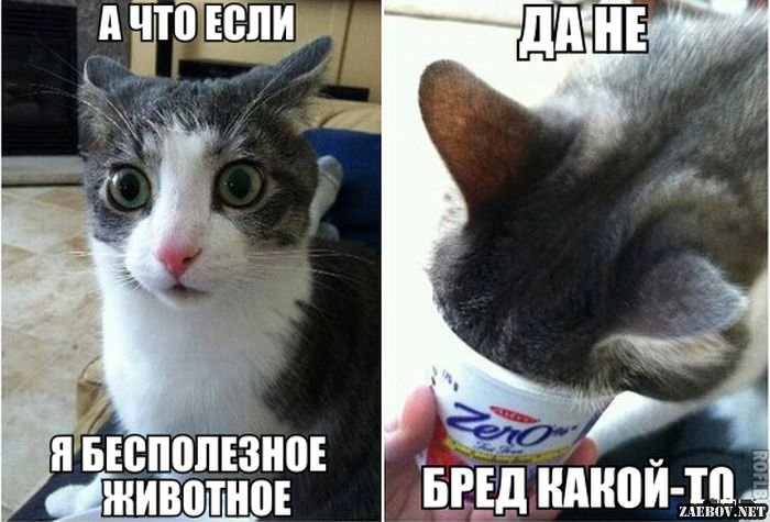 А что в ответе???