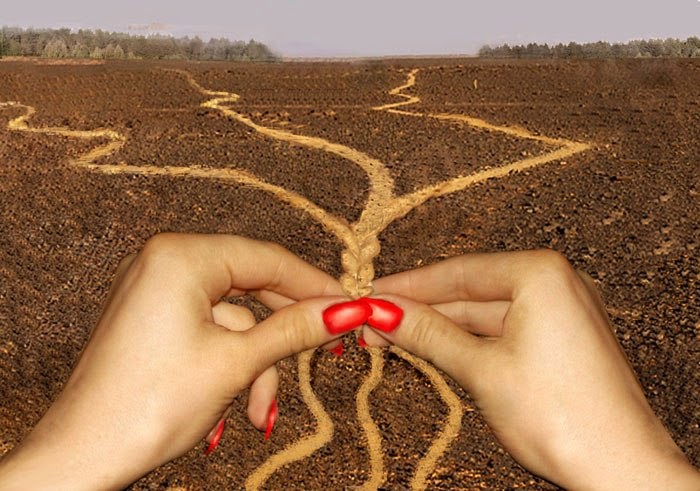 В узлах всей жизни нить...