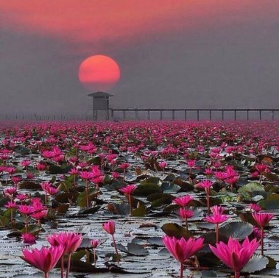 Где прячется покой