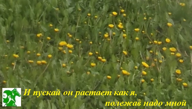И пускай он растает как я, полежав надо мной