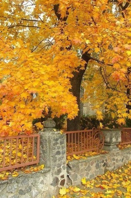 Унылая осень