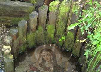 Родник России