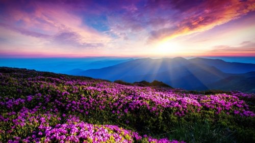 34 Росой умылось утро ясное