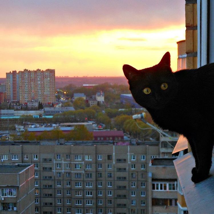 Моя половинка души