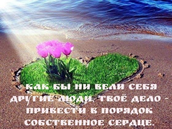 Когда свободно наше сердце...