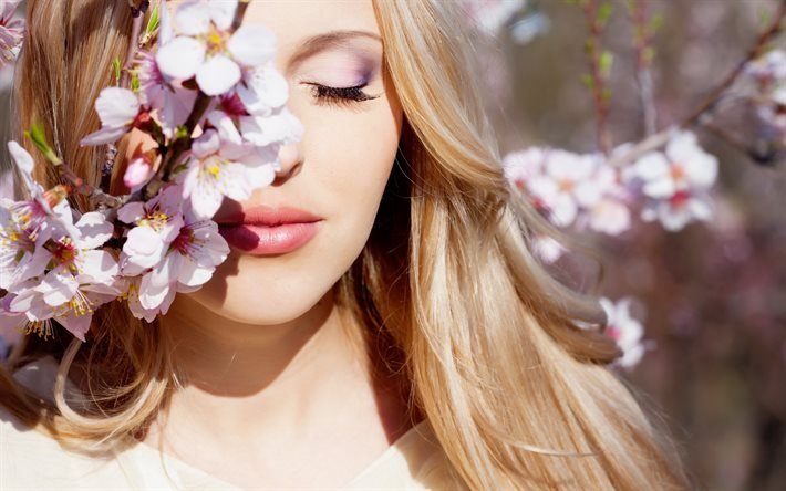 А вишня вновь в цвету