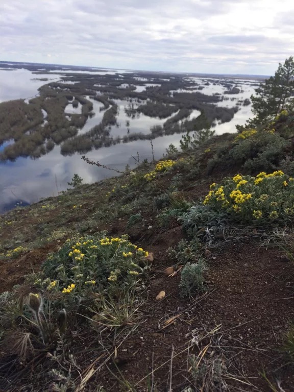 Журавлиными стаями сели...