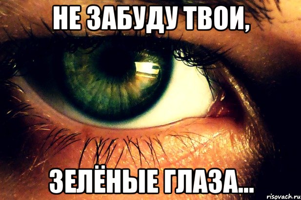 Карие глаза свели меня с ума. Зелёные глаза. Карие глаза. Шутки про зеленые глаза. Открытки зеленые глаза.