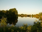 Природе