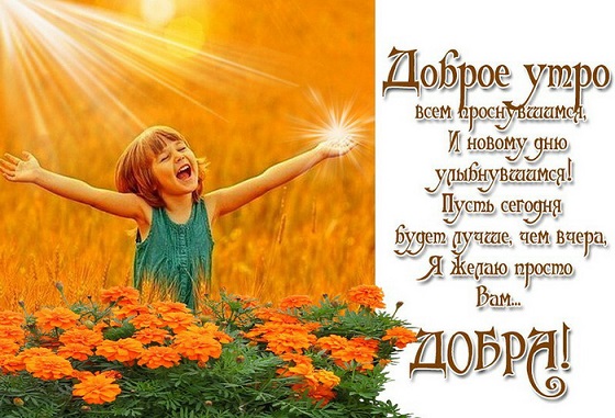 Оранжевая песенка или Не надо нас разбалдевать!