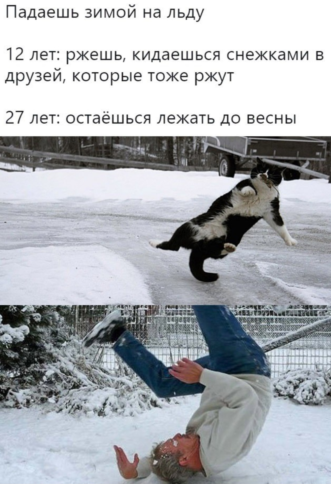 Гололедная загадка