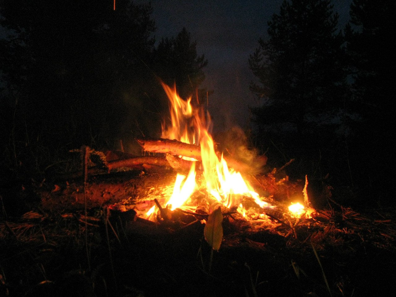 Наша жизнь, как тугая стрела, быстротечна...