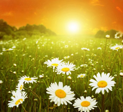 34 Выйдешь в поле на рассвете