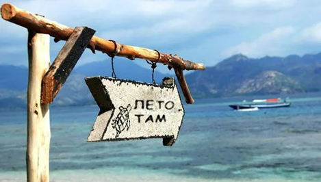 Море в интернете