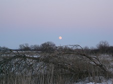 Мне не спится